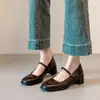 En Stock~ Zapatos Mary Jane Retro Cuadrados Pequeños con Tacón Grueso para Mujer, Nuevo Estilo Francés Primavera 2026 Tacones Altos de Correa Única