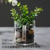 Vidrio de condensación transparente planta otros acuario iluminación botella botella de cultivo cerrado botella de micro paisajismo de escritorio taza recolectora de rocío musgo