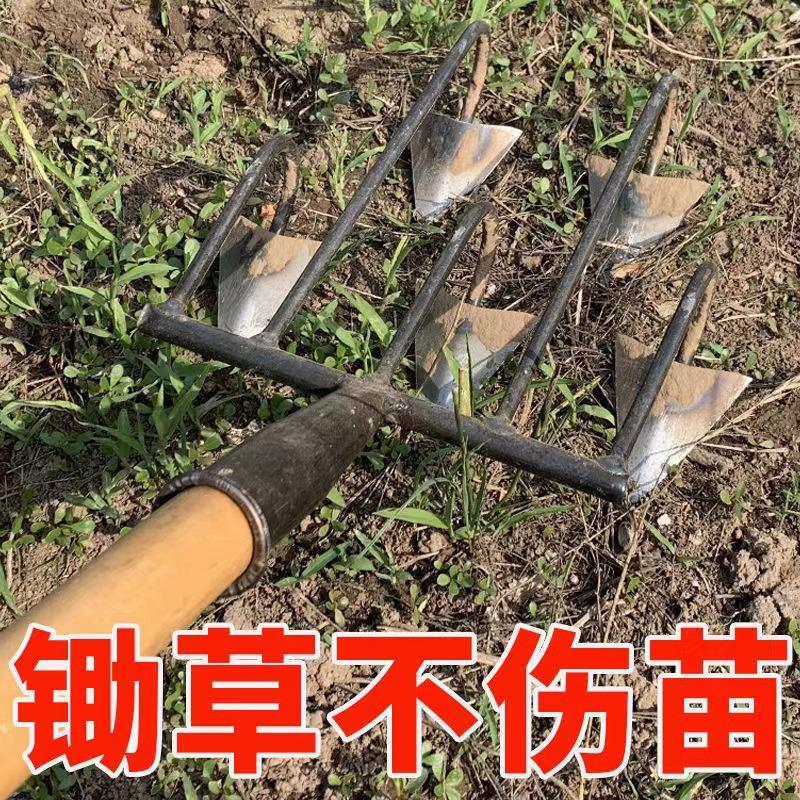 微信图片_202206302122523