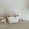 Elegante, minimalista y chic bolso pequeño casual de hombro, nueva colección principios de otoño 2026, bolso de mano de moda de color liso estilo coreano