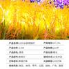 Lámpara de Espiga de Trigo Super Brillante para Plantas de Exterior Lámpara de Espiga de Arroz Lámpara para Césped Festival de Luces Iluminación de Parque Lámpara de Piso para Patio
