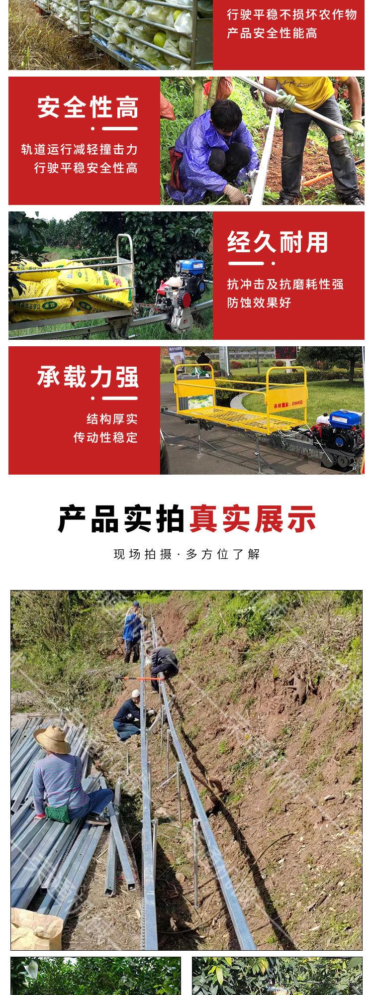 0407双链轨运输车8