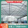 Venta Directa del Fabricante de Invernaderos de Malla Multitúnel, Conjunto Completo de Producción de Estructura Metálica para Invernaderos, Producción de Origen de Invernaderos para Cultivo de Hortalizas