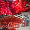 Faroles Flocados Personalizados para el Festival de Primavera, un Par de Faroles Rojos de Año Nuevo para la Entrada Principal, Faroles de Palacio Festivos para Celebrar el Año del Cabra