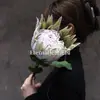 Flores Artificiais, Flores Secas Estilo Wabi-Sabi, Folhas Mortas, Frutos de Pipe, Hortênsias com Borda Queimada, Materiais de Flores Vintage, Frutos de Espinheiro-Marítimo, Decorações de Mesa, Flores de Seda