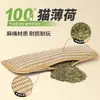 Juguete para Gatos Almohada de Hierba Gatuna Auto-Placer Molienda de Dientes Resistente a Morder Limpieza Dental Golosina para Gatos Auto-Placer Alivio del Aburrimiento Tabla Rascadora de Yute para Gatos Suministros