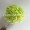 Flor Preservada Haste Única Hortênsia Anna Anna Folha Pequena Bella 40 Cores Personalizado Atacado Presente Dia dos Professores