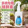 Especializado para Suculentas Baixas e Gordas, Pulverização Direta Adequada para Solução Nutritiva de Plantas Suculentas, Solução Nutritiva para Plantas Verdes, Spray de Verão para Fertilização