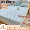 Sábana acolchada de terciopelo de leche de alta densidad, grado A, engrosada para invierno, sábana de cobertura completa, protector de colchón, apta para dormitorios, colcha de felpa