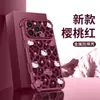 Cordón para teléfono con estampado de leopardo para funda de Apple 18pm iphone17 caricatura 15 nuevo modelo de mujer 16 lindo 14 exterior