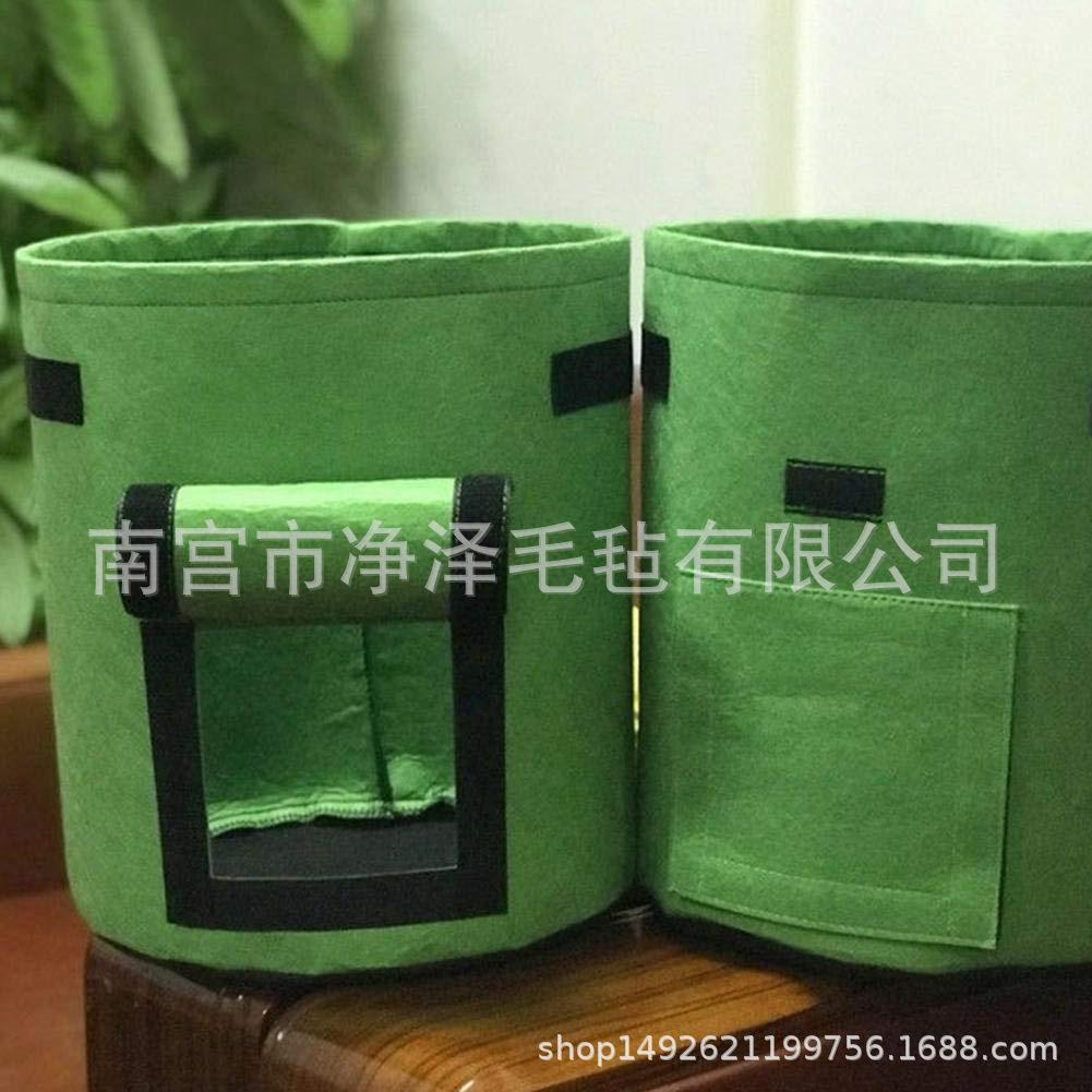 61iT+cEVJXL._SL1001_