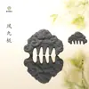 Peine Natural de Hierbas Hecho de Polygonum Multiflorum, Peine Masajeador Hecho a Mano, Producto Popular de Transmisión en Vivo, Venta al por Mayor de Fábrica