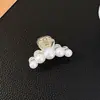 Meio Preso de Cabelo Pequeno Grampo de Prendedor Cabelo da Nuca Preso Grampo de Cabelo Feminino Primavera Cabelo Quebrado Presilha Fixa Acessório de Cabeça Pegador de Cabelo Atacado