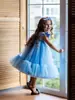 Vestidos de Niña Amazon, Vestidos para Primer Cumpleaños y Bautizo, Vestidos de Princesa al por Mayor, Mangas Cortas Volantes, Vestidos de Malla para Pastel con Adorno para la Cabeza