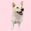 Collares para Mascotas Transfronterizos, Collares de Perlas para Gatos, Collares de Moda de Comercio Exterior, Pajaritas para Perros, Personalización de Accesorios para Mascotas
