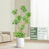 Forma Pie de Pato Madera Sala de Estar Maceta Grande Planta Verde Interior Sala de Estar Grande de Pie Flor Real Pila Vieja Pie de Pato Madera