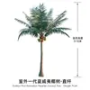 Árboles Artificiales Personalizados, Árboles Tropicales Temáticos para Paisajismo de Jardines Exteriores y Parques Temáticos, Palmeras, Cocoteros Artificiales