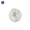 Modelo de Exhibición de Auriculares de Oreja de Silicona Joyería de Pendientes de Oreja Práctica de Limpieza de Orejas Prop de Enseñanza de Simulación del Cuerpo Humano