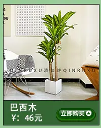 仿真龟背树