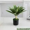 Planta Verde Simulada Bonsái Sisal Hoja Grande Gladiolo Planta del Desierto Tropical Ventana Paisajismo Decoración Planta Falsa Mancha