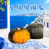 Calabaza Little Beibei de Shandong, disponible para entrega en cantidades de 1/3/5/ 4.5 kg por pieza, sabor a castaña, suave y pegajosa, suplemento alimenticio para bebés, verduras frescas