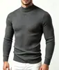 Suéter de Punto para Hombre Otoño e Invierno, Cuello Medio Alto, Elástico, Color Liso, Jersey, Moda Juvenil, Capa Base Casual