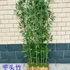 Bambu Artificial Atacado para Decoração de Sala de Estar e Hotel, Telas Divisórias, Bambu Falso, Vasos de Madeira Maciça, Plantas Verdes Anticorrosivas, Alta Simulação
