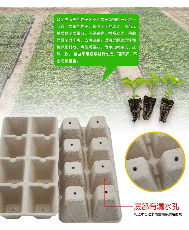 花卉育苗盆详情_05