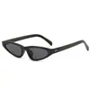 Gafas de Sol de Alta Gama Europeas de Moda Estilo Celebridad de Internet Versátiles Simples Anti-UV Estilo Callejero Viaje Conducción