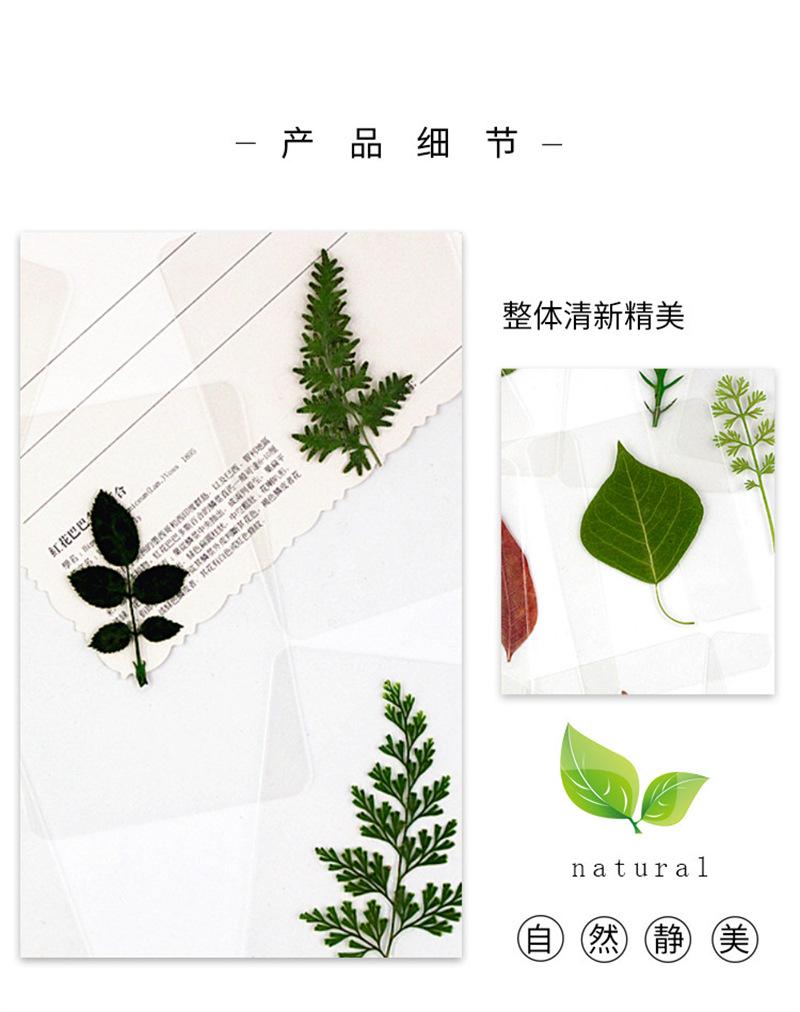 1_12_副本.jpg