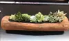Maceta de Madera Rectangular Creativa Grande para Suculentas y Lithops, Maceta Única y Elegante para Bonsái