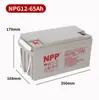 Batería NPP NPG12-65 12V65AH para sala de servidores UPS, comunicación, alumbrado público solar, UPS, EPS