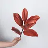 Hojas de Magnolia Simuladas, Ramas de Árbol de Magnolia, Hojas de Planta Simuladas, Decoración para el Hogar y Bodas, Arreglo Floral, Ramas de Magnolia