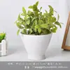 Vaso de Porcelana Branca de Dehua Vaso para Flores Suculentas Branco Puro Moderno Jardinagem Doméstica Cerâmica Vaso Pequeno Simples Transfronteiriço Vaso Pequeno para Plantio de Suculentas