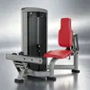 Entrenador de Pantorrillas Sentado Gimnasio Comercial Equipo Profesional para Entrenamiento de Pantorrillas Equipo de Fuerza Fabricante Venta al por Mayor