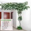 Folhas, galhos, videiras, flores artificiais, trepadeiras, canos, pilares, plantas trepadeiras, plantas verdes, plantas de parede, cobrindo imperfeições, decorações