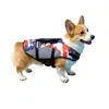 Venda Quente de Verão Transfronteiriça Suprimentos para Pets Colete Salva-Vidas para Cachorro Colete Salva-Vidas para Treinamento ao Ar Livre Roupa de Banho para Cães de Porte Médio e Grande