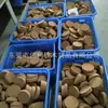 Suministro frasco de vidrio Corcho, corcho sintético, tapón sellador de vidrio para frutas secas (las especificaciones son negociables)