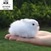 Conejo de peluche modelo de conejo de simulación de cuero genuino para niños, conejo de jade, Chang'e, accesorios y adornos para fotografía del Festival de Medio Otoño