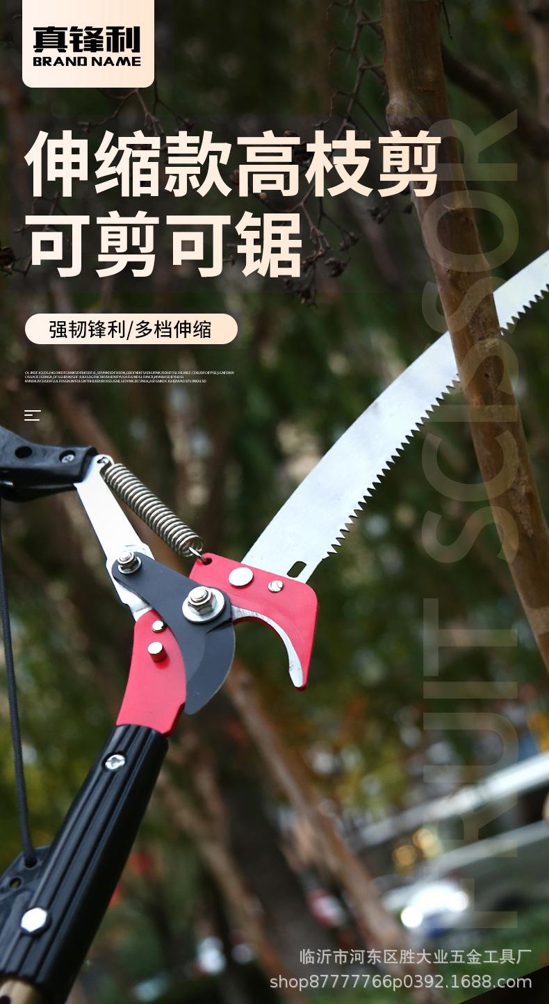 果枝剪详情-2_01.jpg