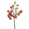 Galhos de Lichia Artificial de Alta Qualidade com Significado Inspirador, Adequados para Arte de Arranjo Floral, Estilo Pastoral, Decoração de Sala de Estar e Janela