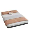Cama de Hierro Forjado, Cama Tatami Simple para Uso Doméstico, Sin Mesita de Noche, Engrosada y Reforzada, Adecuada para Apartamentos de Alquiler, Cama con Estructura de Hierro Colgante