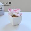 Suculenta Pequeño Bonsái Cerámica Muebles para el Hogar Decoración Fabricante de Jinhua Plantas Verdes Aliexpress Flor Artificial Plantas en Maceta