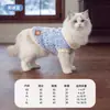 Suéter de gato con cuello de muñeca para otoño e invierno, suéter cálido tipo pullover para mascotas pequeñas y medianas de raza Teddy y Ragdoll
