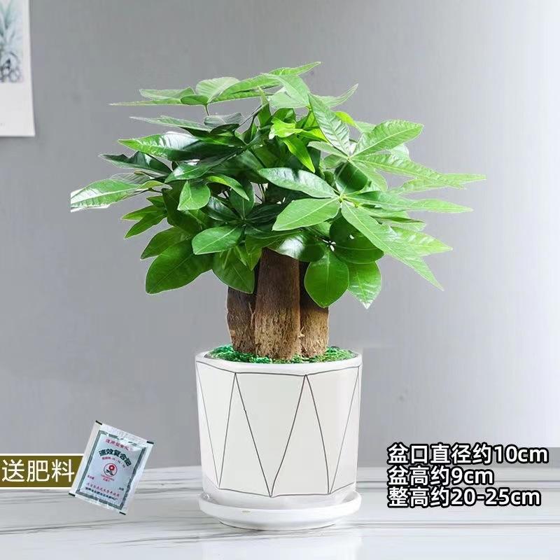 微信图片_20221017214559