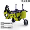 Ventas Directas de Fábrica Vehículo para Mascotas Discapacitadas Parálisis de Extremidades Posteriores Scooter para Ancianos Discapacitados Vehículo Auxiliar para Caminar Rehabilitación de Perros