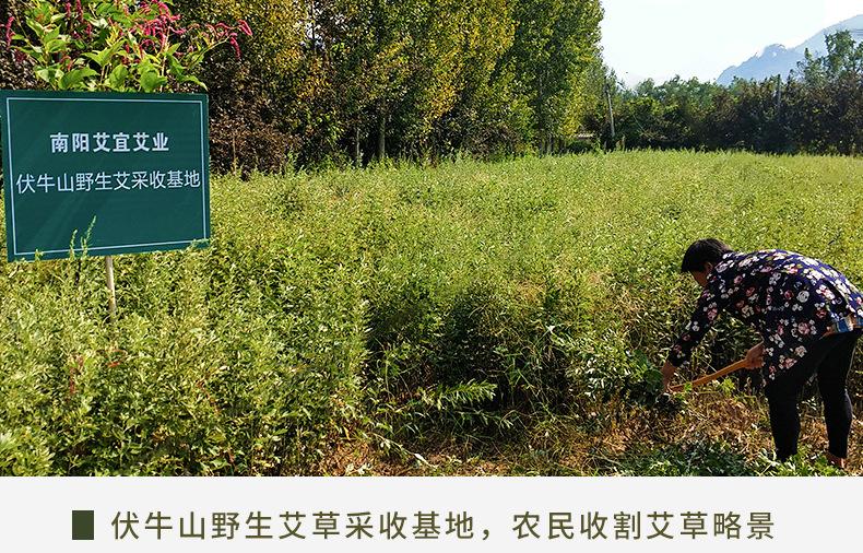 蓝柱_03.jpg
