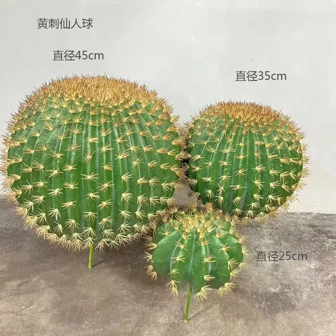 黄刺仙人球.png