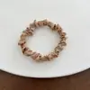Venta Caliente Transfronteriza de Amazon Anillos para el Pelo de Intestino Delgado Banda para el Pelo Cuerda para Cola de Caballo Accesorios Simples para el Cabello traje Anillos para el Cabello Sading