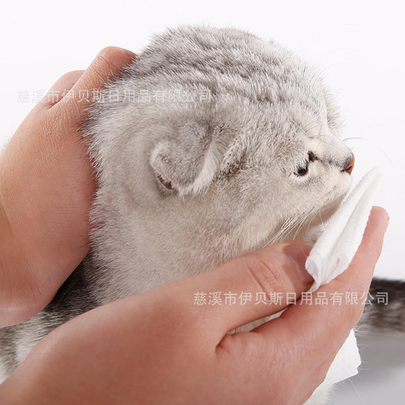 宠物湿巾